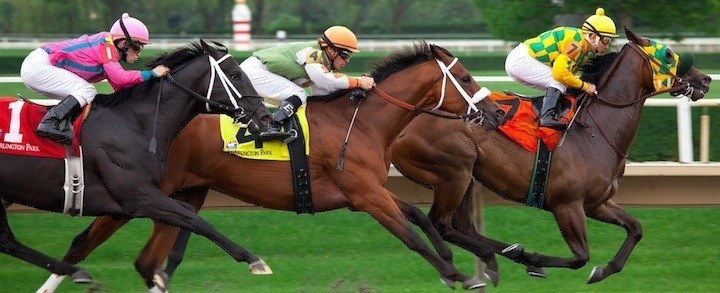 horse-race