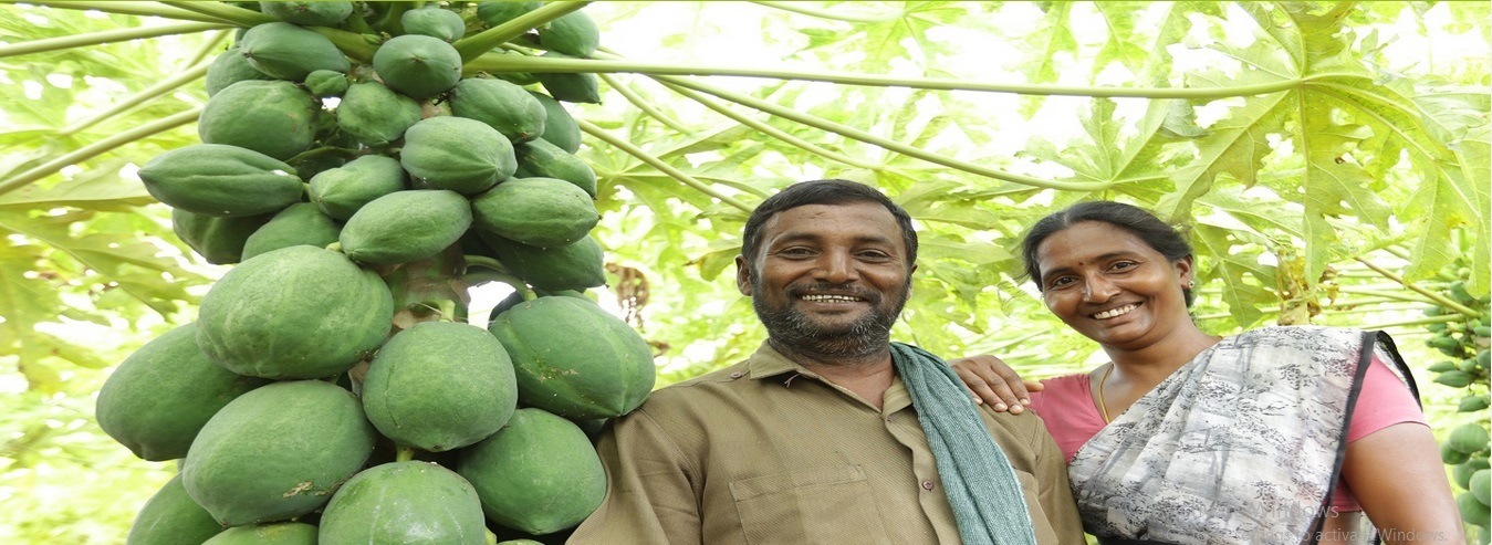 A VillFarm farmer