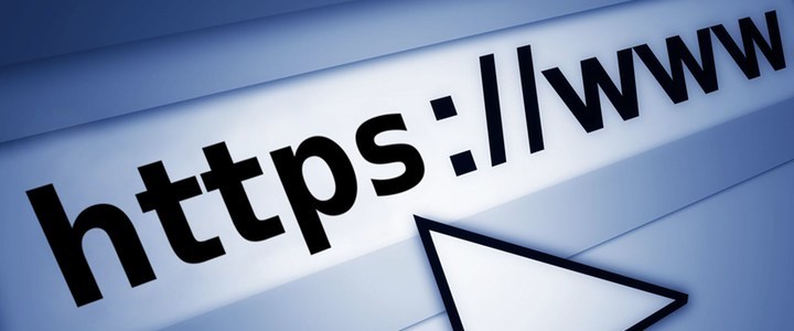 Top 11 most popular websites in Sri Lanka