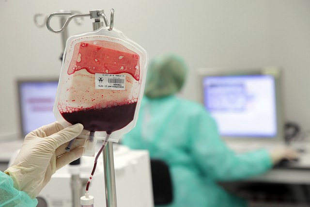 OpenSpecimen helps sort biomedical samples in multiple ways for quick acquisition (Photo by Jordi Play)