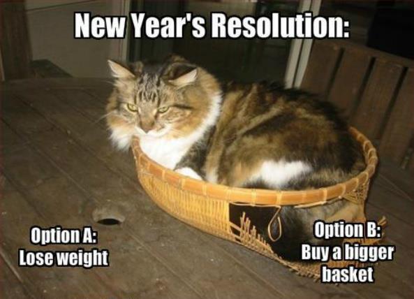 New-Years-Resolution-Memes-Cats