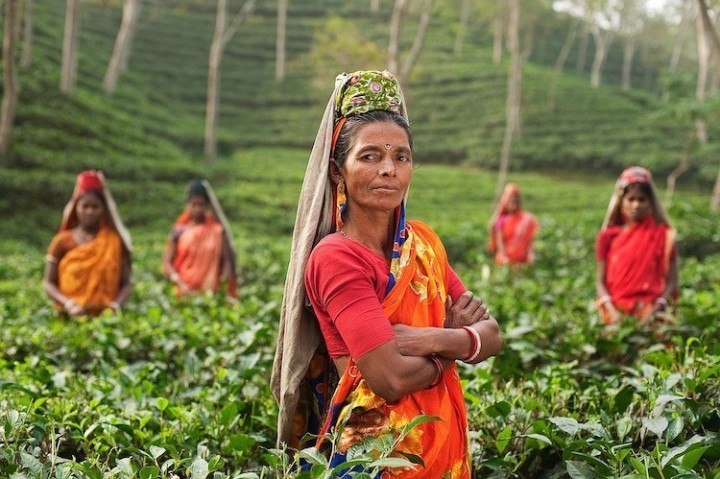 India Roundup: Facebook inducts women-focused fintech firm into accelerator, and more
