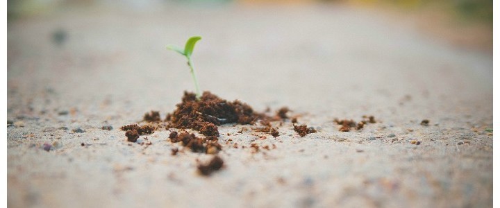 5 factors fueling Southeast Asia’s startup ecosystem