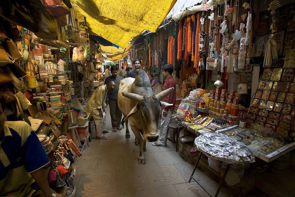 India can’t afford the comforts technology provides. Here’s why