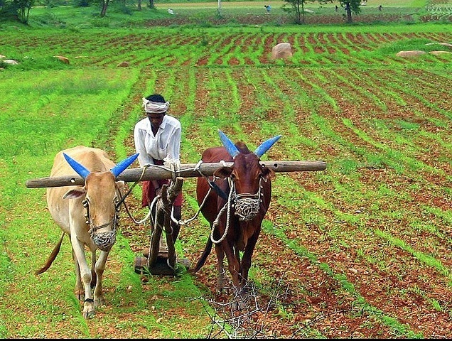 Indian agritech startup Arya bags $21m in Quona Capital-led round Indian agritech startup Arya bags $21m in Quona Capital-led round