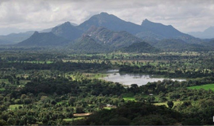 Photo credit: gωen Sigiriya, Sri Lanka