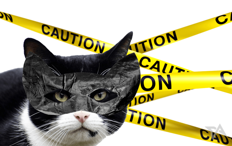 startups operating outside the law