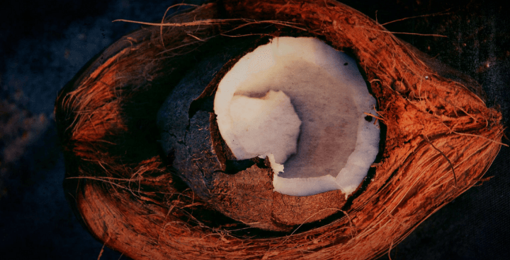 Big-Tree-Farms-Coconut