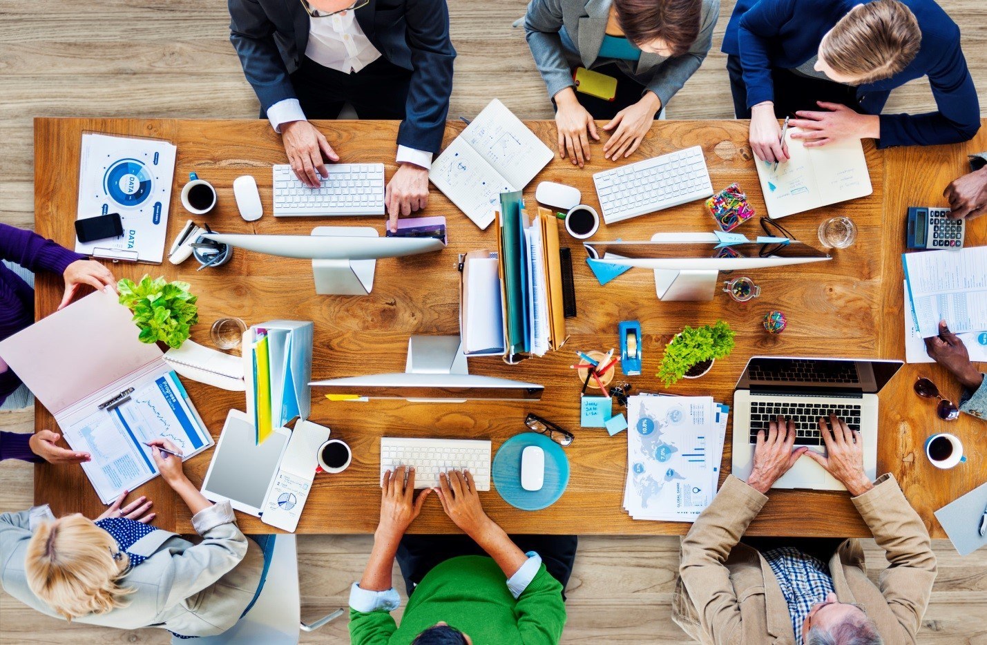 Go beyond analytics to understand why, not only what