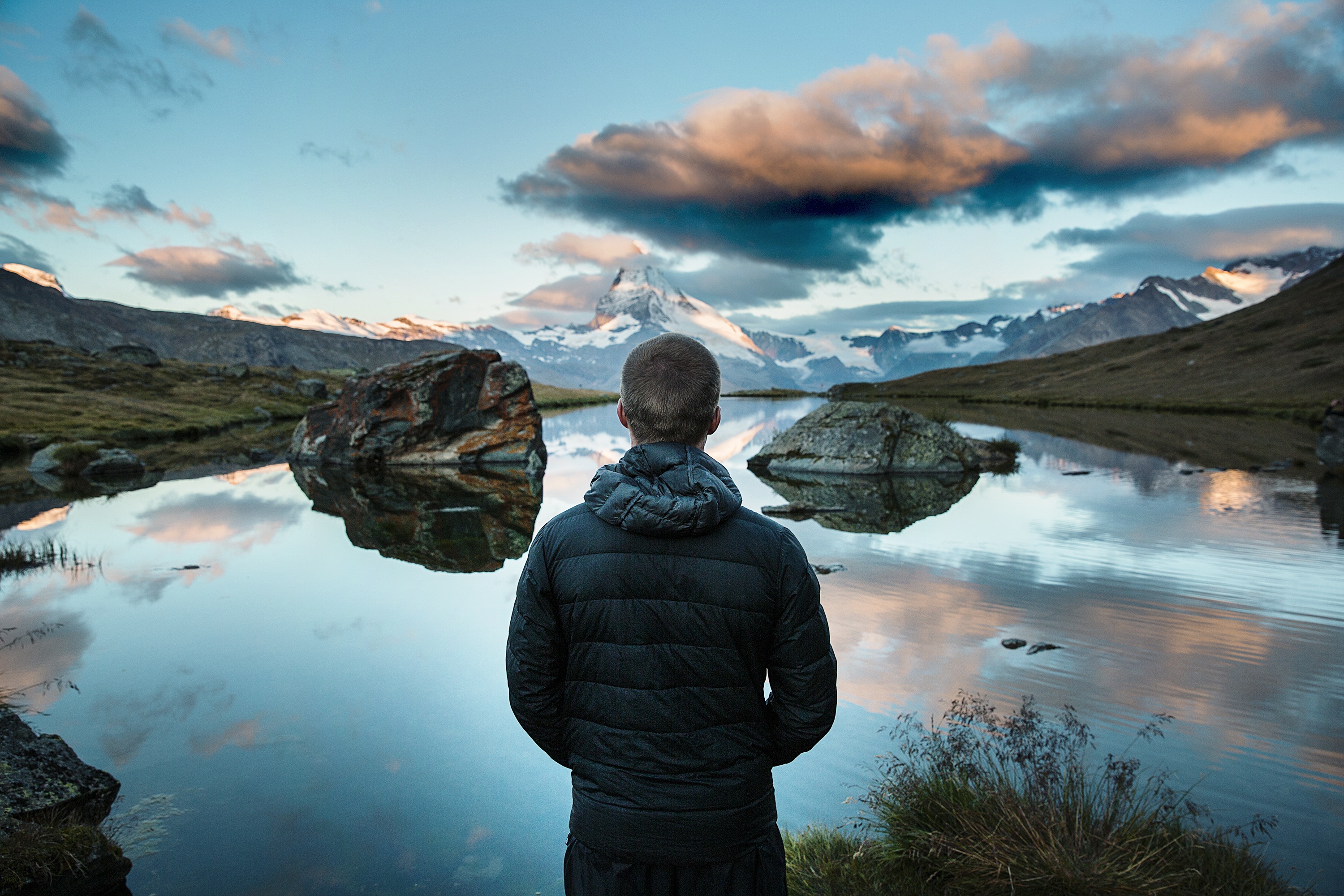 Dear startups:  here’s how to stay alive