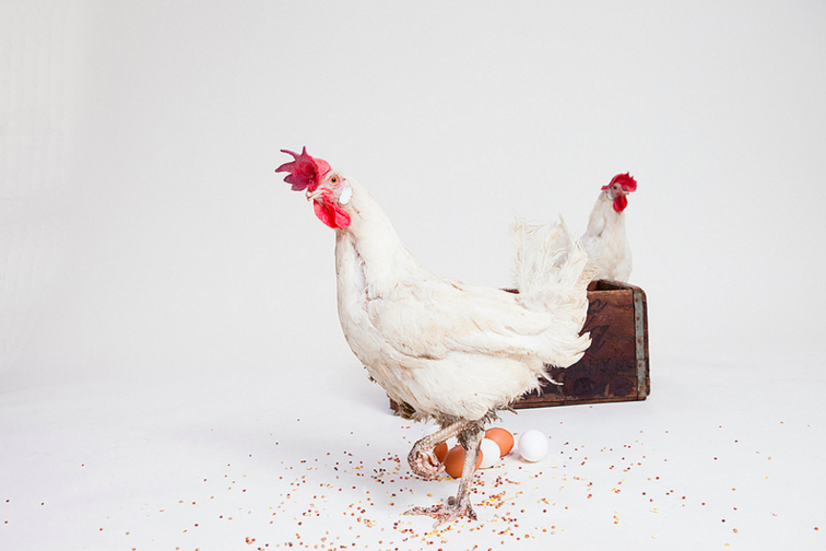 The chicken and egg problem with premium VR content