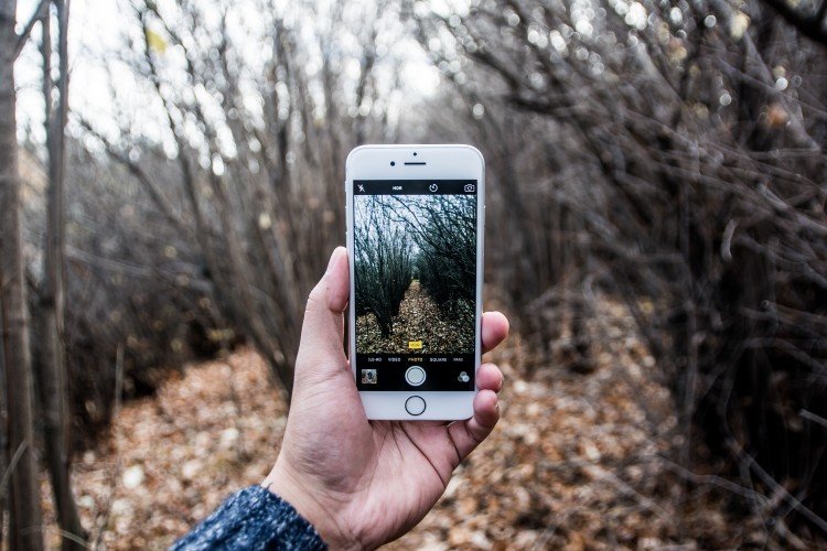 social-media-instagram