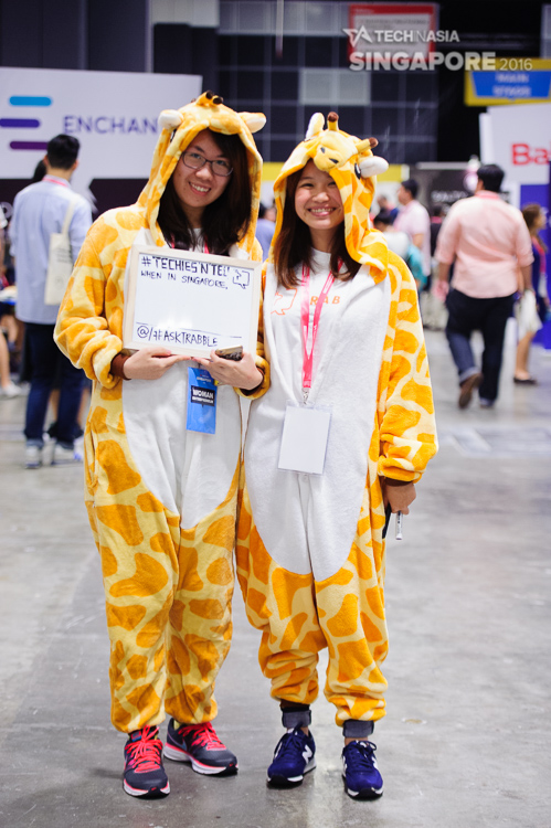 giraffes