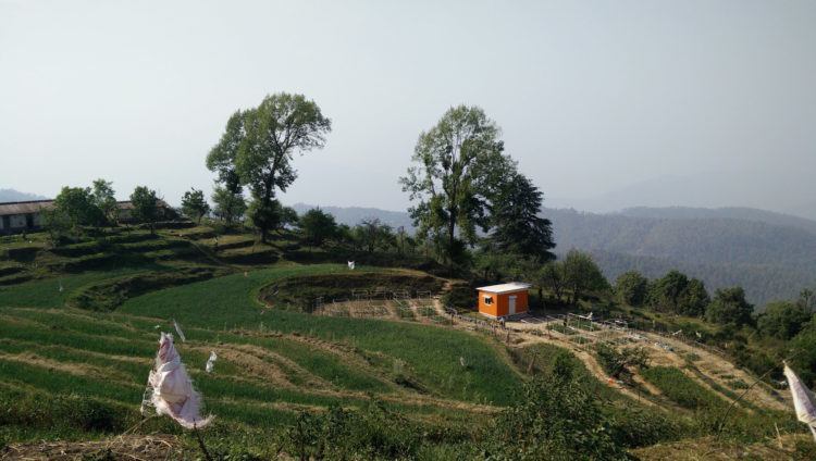 Of spicy pakoras and sweet apps on the road to the Himalayas Of spicy pakoras and sweet apps on the road to the Himalayas