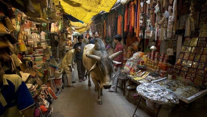 The narrow streets of Indian bazaars are difficult to map through satellite imagery. Photo credit: HappyTrips.com.