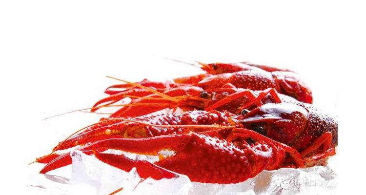crayfish