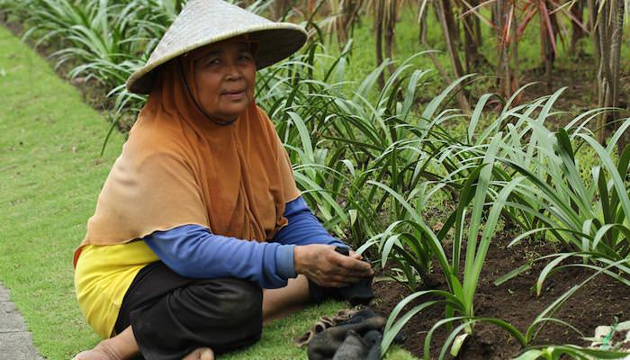 seekmi-marketplace-jasa-lokal