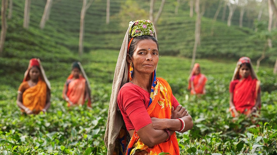 india-tea-workers-women