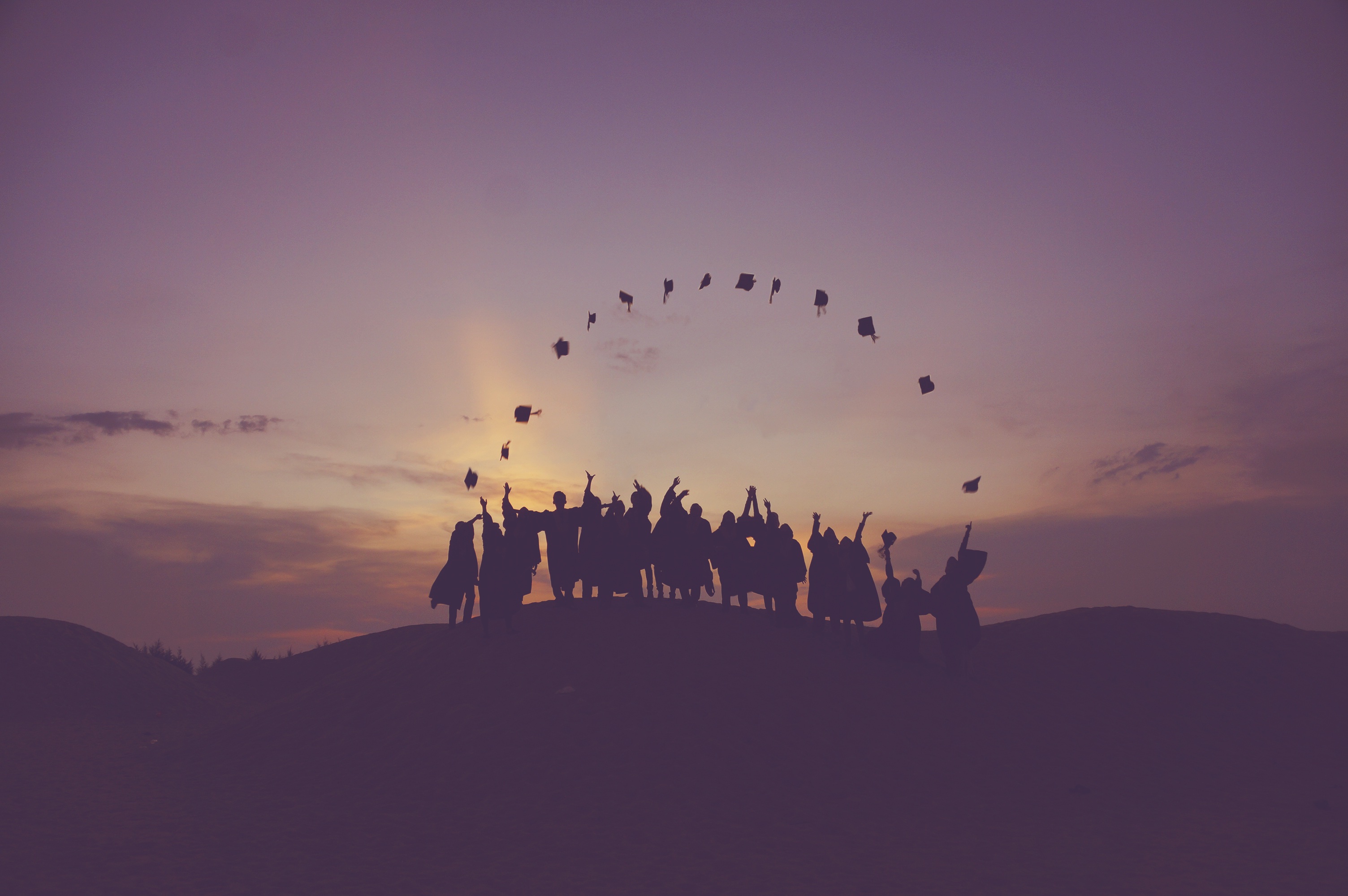 What I learned at MIT and Harvard