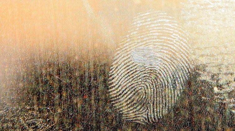 Fingerprint, biometrics
