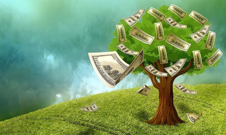 money-tree-cash-venture-capital-funding