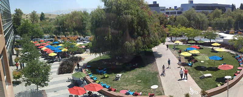 Googleplex-life2