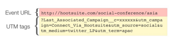 UTM tag example