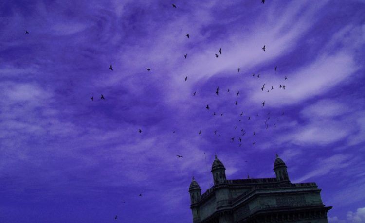Photo credit: Swaminathan.