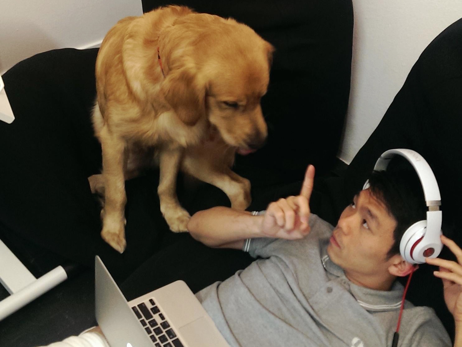 Photo credit: Marvel the Tech in Asia Dog
