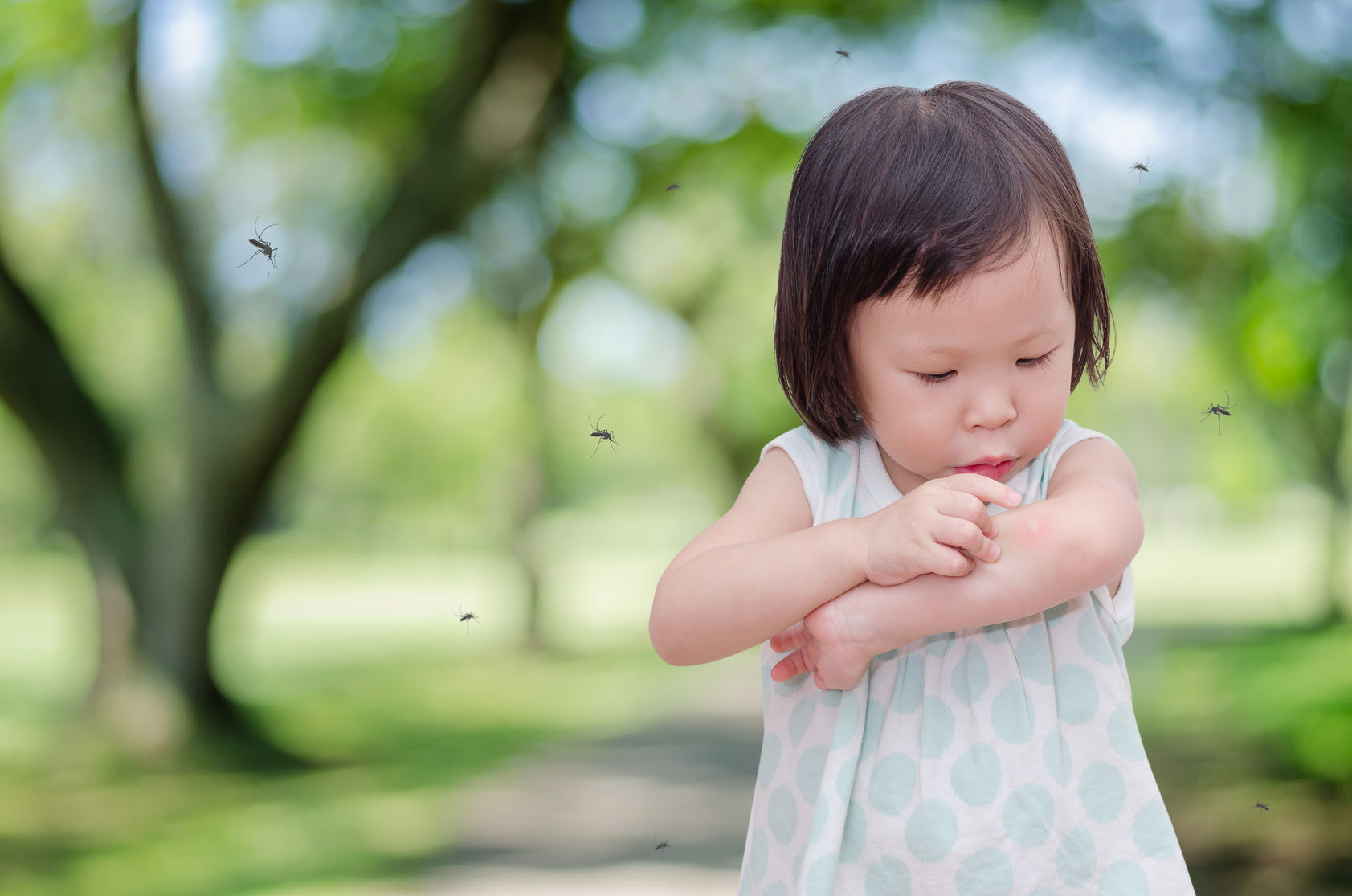 Photo credit: Parinya Binsuk via 123rf