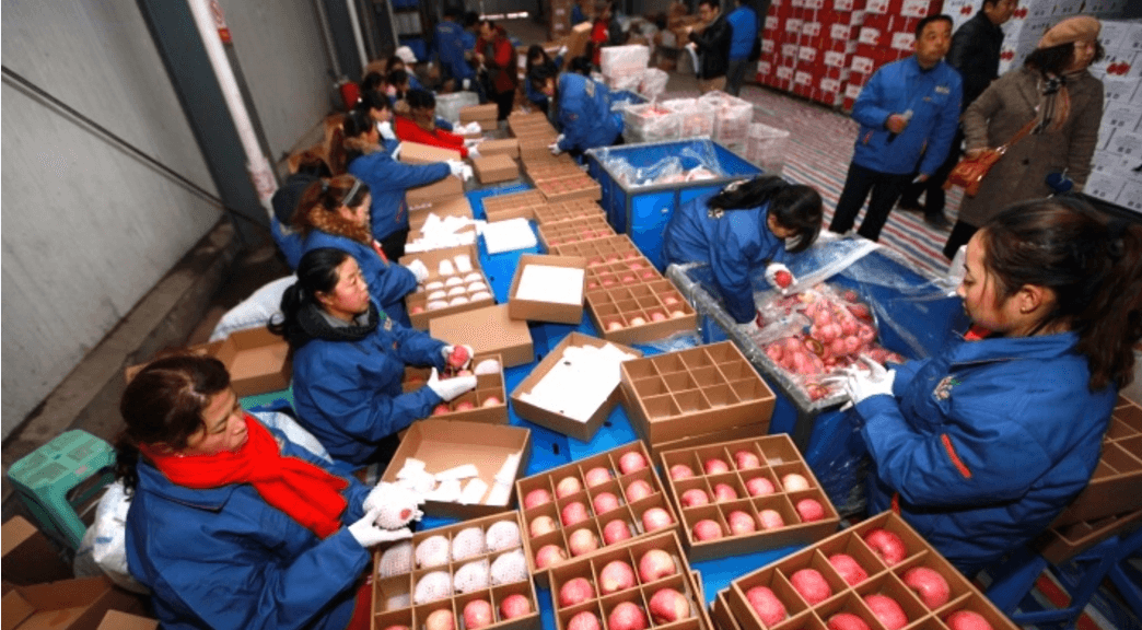Workers packing apples to sell on Taobao, Alibaba's C2C ecommerce store. Photo credit: Alizila.