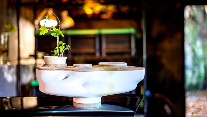 You can grow plants in it too! Photo credit: Bionicraft.