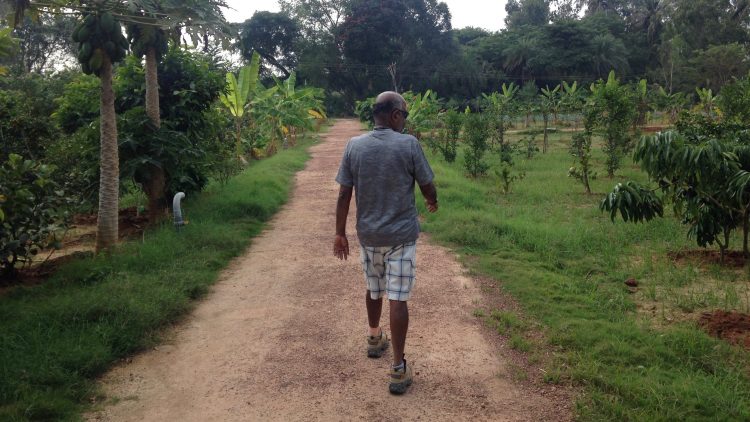 Srinivasan leads me through one of Back2basics' experience farms. Photo credit: Tech in Asia.