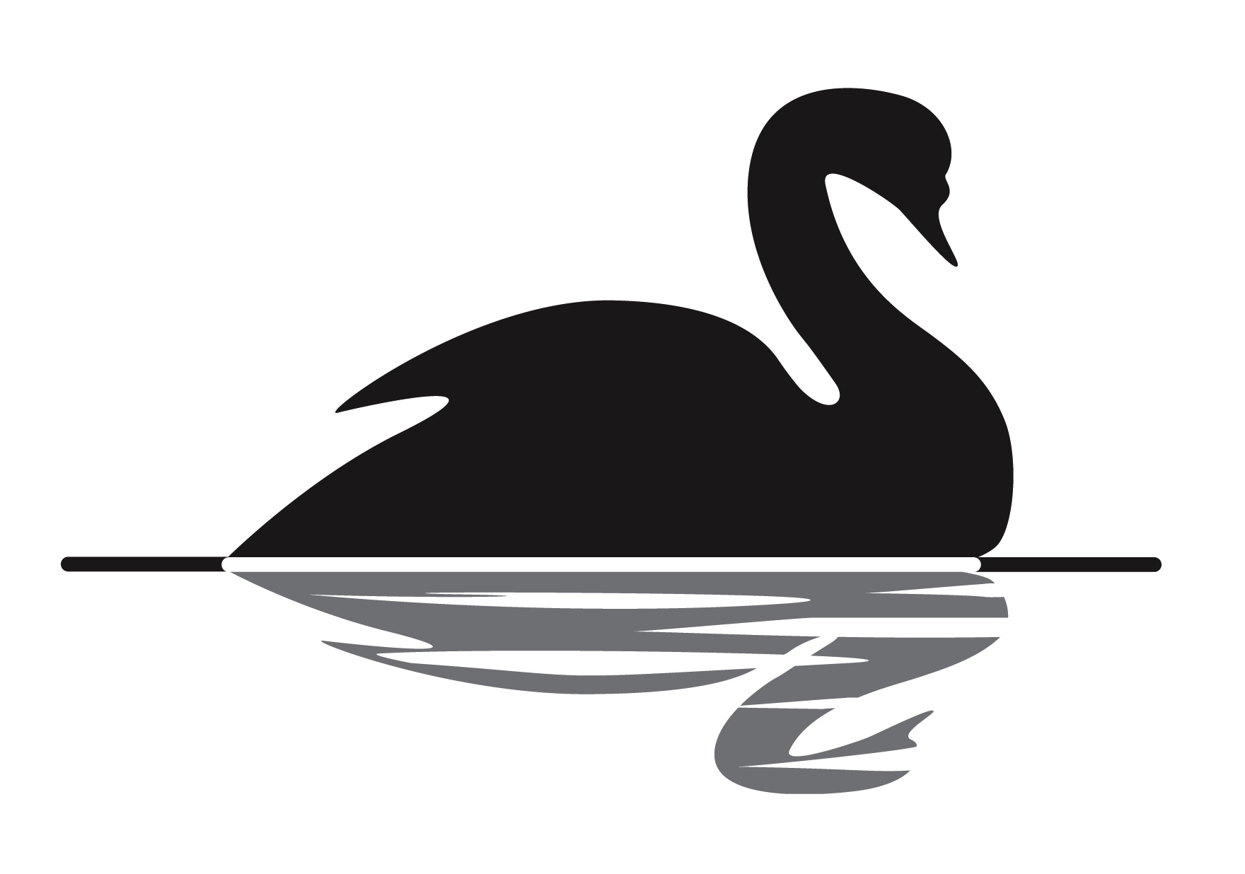 the black swan: events that changed history