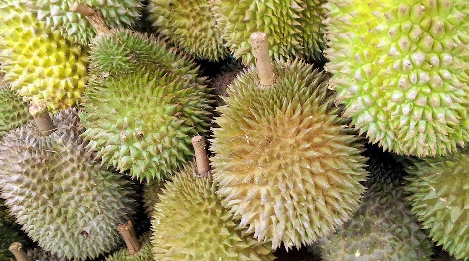 durian-fruit