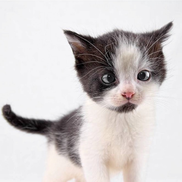 Photo credit: Niels Kliim.