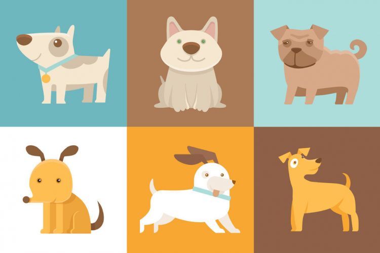 PETO wants to be Indonesia's all-in-one pets startup
