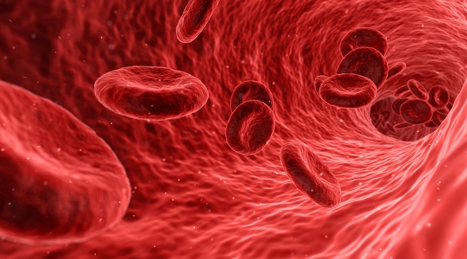 blood-cells-sigtuple