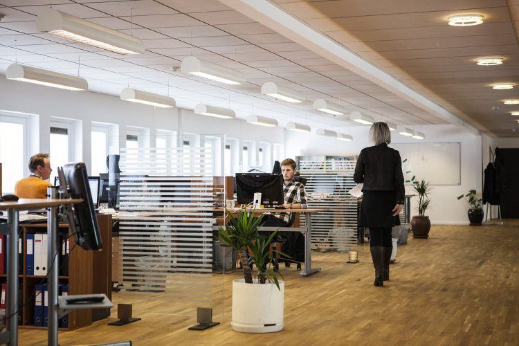 office-startup
