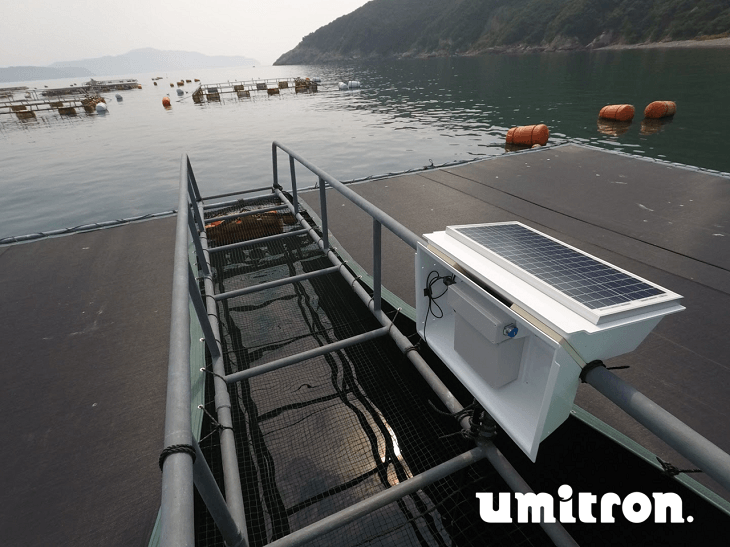 Umitron's system at an aquaculture farm