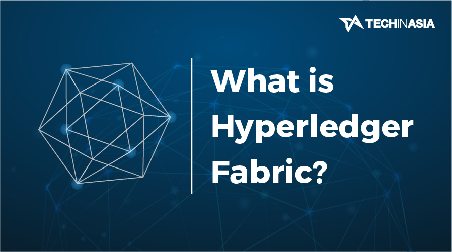 What makes Hyperledger Fabric so special? (Infographic)
