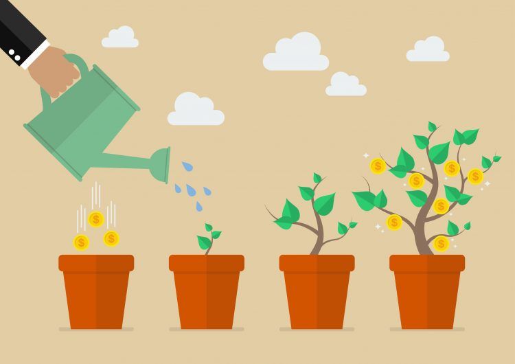 watering-money-tree