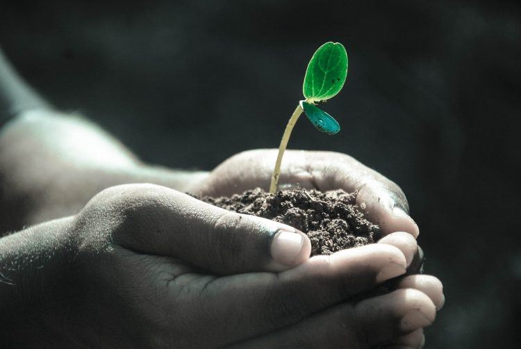 How startups can grow to become asset-light businesses How startups can grow to become asset-light businesses
