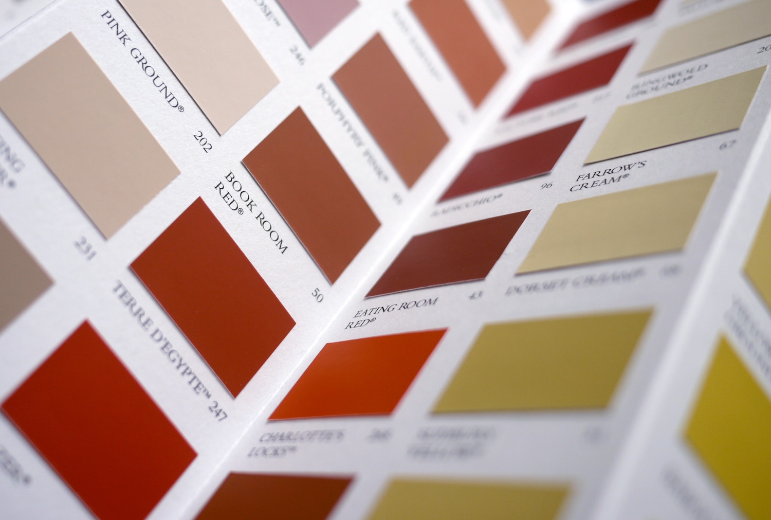 decorating, decoration, home decoration, paint, painting