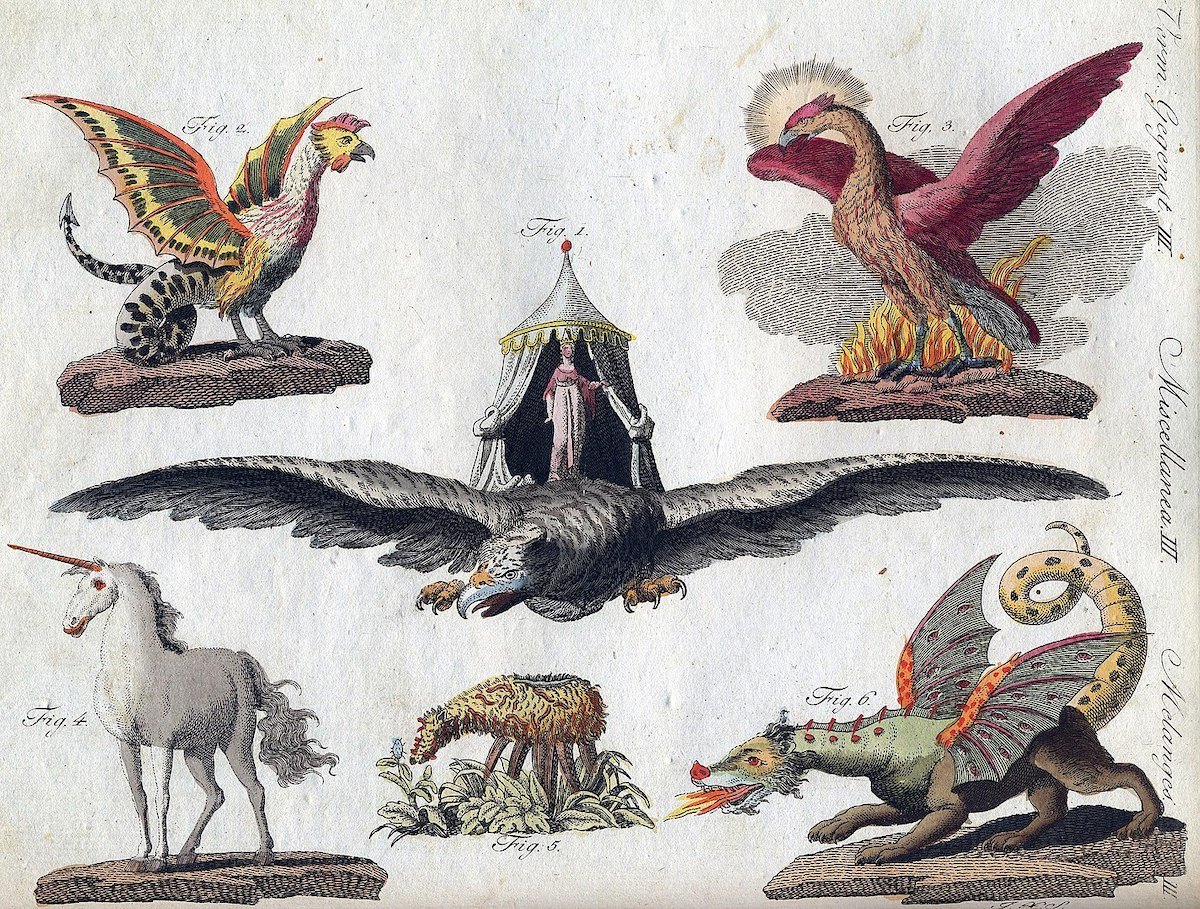 unicorn phoenix mythical beings