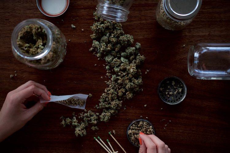 Yo, pothead investors and founders Yo, pothead investors and founders