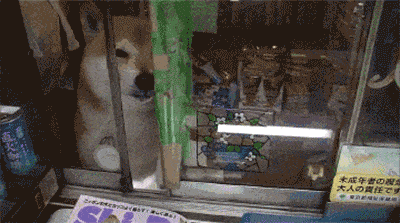 convenience store gif