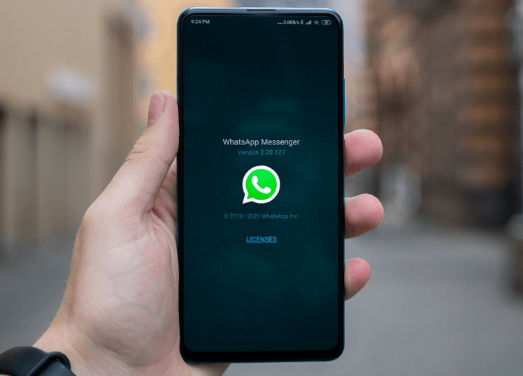 WhatsApp could be incubating the region’s next billion-dollar startup WhatsApp could be incubating the region’s next billion-dollar startup