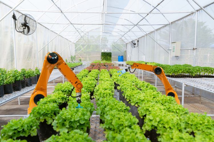 Mapping Indonesia’s key agritech players (update)