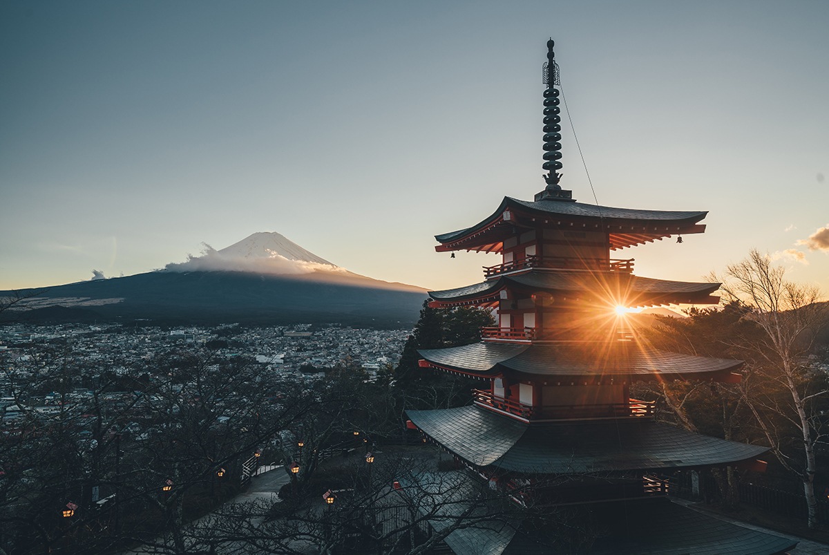 50 rising startups in Japan